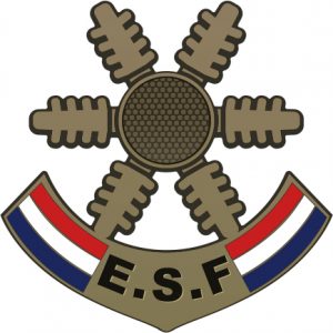 Médaille étoile de bronze des esf