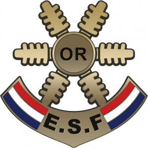 Médaille étoile d'Or des esf