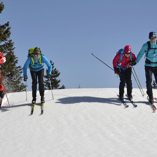 ski nordic en groupe avec l'esf Ventron